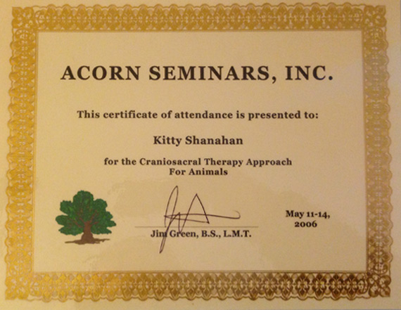 Acorn Seminars Inc. Craniosacral Therapy Approach for Animals Acorn Seminars Inc. Craniosacral Therapy Approach for Animals